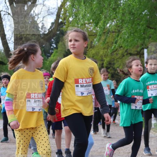 25.04.2026 - Das Zehntel Zöllner http://msf.ph/oto/9657406 25.04.2026 07:47:51 Laufen 1934, 1939, 1949, 2431, 2427 meine-sportfotos.de