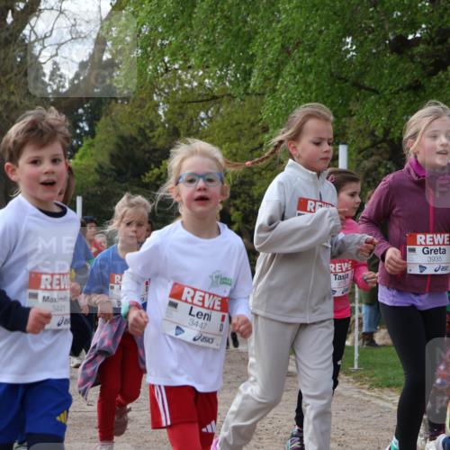 25.04.2026 - Das Zehntel Zöllner http://msf.ph/oto/9657571 25.04.2026 07:47:58 Laufen 1933, 3441, 3779, 3935, 3447 meine-sportfotos.de
