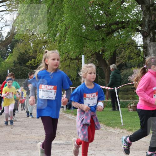 25.04.2026 - Das Zehntel Zöllner http://msf.ph/oto/9657601 25.04.2026 07:47:59 Laufen 1933, 2112, 2114 meine-sportfotos.de