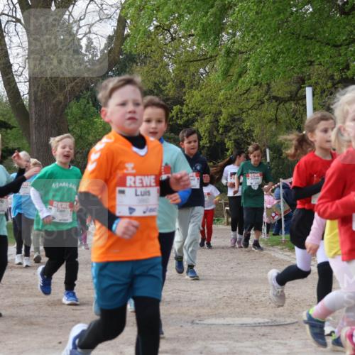 25.04.2026 - Das Zehntel Zöllner http://msf.ph/oto/9657652 25.04.2026 07:48:01 Laufen 1903 meine-sportfotos.de