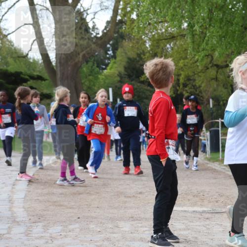 25.04.2026 - Das Zehntel Zöllner http://msf.ph/oto/9657937 25.04.2026 07:48:14 Laufen 1984, 3483, 1667 meine-sportfotos.de