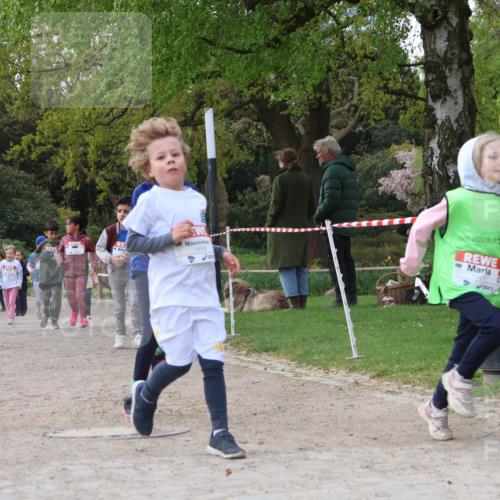 25.04.2026 - Das Zehntel Zöllner http://msf.ph/oto/9658423 25.04.2026 07:48:36 Laufen 1498, 347 meine-sportfotos.de