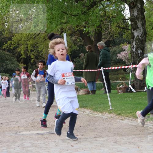 25.04.2026 - Das Zehntel Zöllner http://msf.ph/oto/9658426 25.04.2026 07:48:36 Laufen 1498, 1347 meine-sportfotos.de
