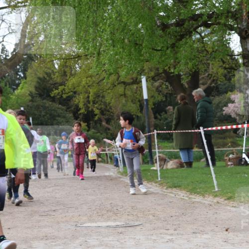 25.04.2026 - Das Zehntel Zöllner http://msf.ph/oto/9658456 25.04.2026 07:48:37 Laufen 2545, 2530 meine-sportfotos.de