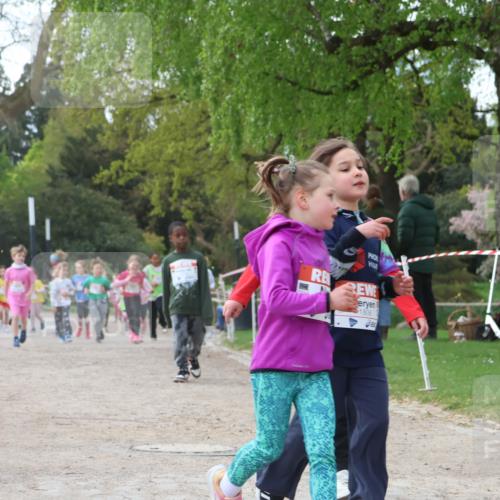 25.04.2026 - Das Zehntel Zöllner http://msf.ph/oto/9658792 25.04.2026 07:48:51 Laufen 2415, 1806 meine-sportfotos.de