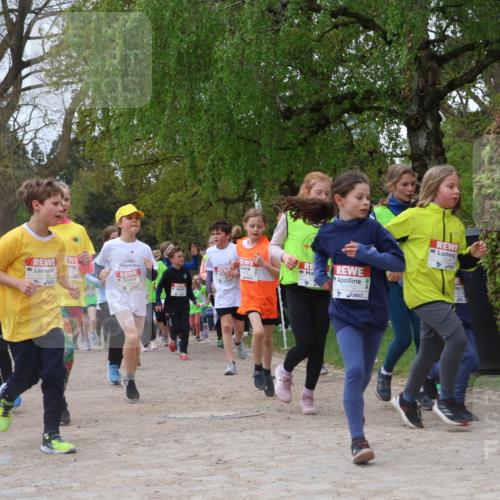 25.04.2026 - Das Zehntel Zöllner http://msf.ph/oto/9659105 25.04.2026 11:43:28 Laufen 11709, 10172 meine-sportfotos.de