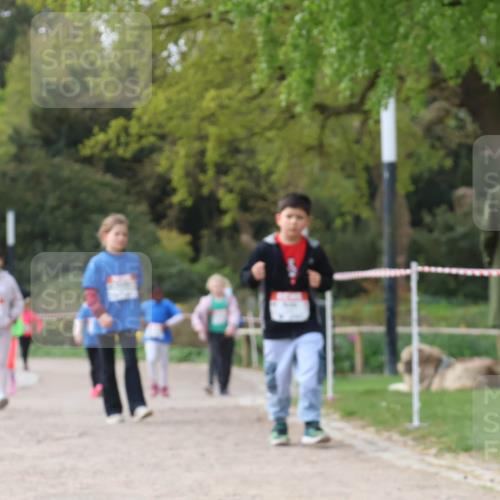 25.04.2026 - Das Zehntel Zöllner http://msf.ph/oto/9659482 25.04.2026 07:49:21 Laufen  meine-sportfotos.de