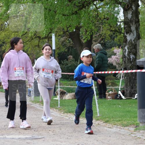 25.04.2026 - Das Zehntel Zöllner http://msf.ph/oto/9659620 25.04.2026 07:49:33 Laufen 2667, 2098 meine-sportfotos.de