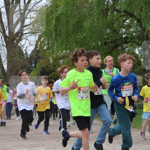 25.04.2026 - Das Zehntel Zöllner http://msf.ph/oto/9659747 25.04.2026 11:43:49 Laufen 11068, 13004, 10501, 12225 meine-sportfotos.de