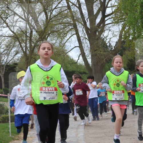 25.04.2026 - Das Zehntel Zöllner http://msf.ph/oto/9659810 25.04.2026 11:43:51 Laufen 1949, 12025, 1949, 12047, 11014 meine-sportfotos.de