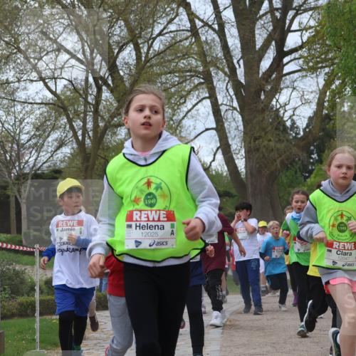 25.04.2026 - Das Zehntel Zöllner http://msf.ph/oto/9659819 25.04.2026 11:43:52 Laufen 1949, 12025, 1949, 12047, 11014 meine-sportfotos.de