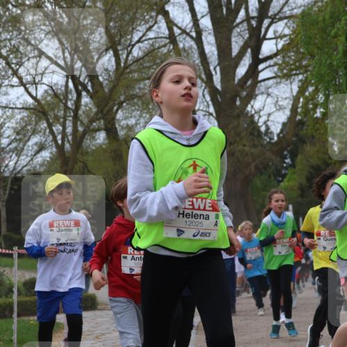 25.04.2026 - Das Zehntel Zöllner http://msf.ph/oto/9659822 25.04.2026 11:43:52 Laufen 12903, 101, 12025, 12232, 1949, 12047, 11014 meine-sportfotos.de