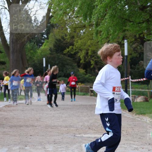 25.04.2026 - Das Zehntel Zöllner http://msf.ph/oto/9660070 25.04.2026 07:49:53 Laufen 344 meine-sportfotos.de
