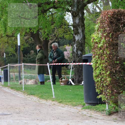 25.04.2026 - Das Zehntel Zöllner http://msf.ph/oto/9660298 25.04.2026 07:50:04 Laufen  meine-sportfotos.de