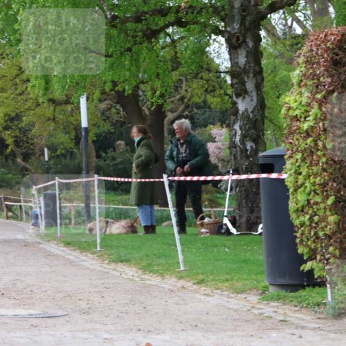 25.04.2026 - Das Zehntel Zöllner http://msf.ph/oto/9660301 25.04.2026 07:50:04 Laufen  meine-sportfotos.de