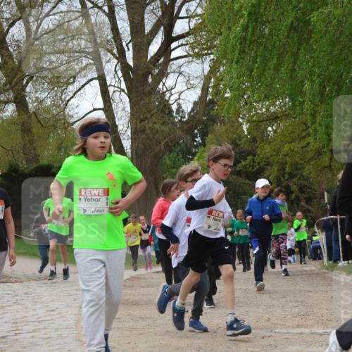 25.04.2026 - Das Zehntel Zöllner http://msf.ph/oto/9661973 25.04.2026 11:45:03 Laufen 12688, 11804, 11489 meine-sportfotos.de