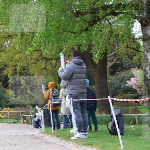 25.04.2026 - Das Zehntel Zöllner http://msf.ph/oto/9662215 25.04.2026 09:38:09 Laufen  meine-sportfotos.de