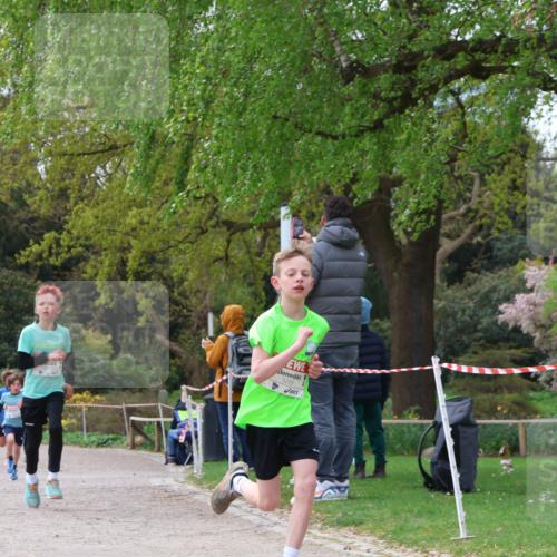 25.04.2026 - Das Zehntel Zöllner http://msf.ph/oto/9662221 25.04.2026 09:38:11 Laufen 5295 meine-sportfotos.de