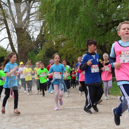 25.04.2026 - Das Zehntel Zöllner http://msf.ph/oto/9662611 25.04.2026 11:45:26 Laufen 1290, 5, 10118, 11600, 11929 meine-sportfotos.de