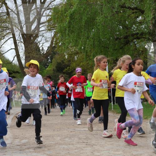 25.04.2026 - Das Zehntel Zöllner http://msf.ph/oto/9662713 25.04.2026 11:45:30 Laufen 12905, 12912, 12241, 11908, 1263 meine-sportfotos.de