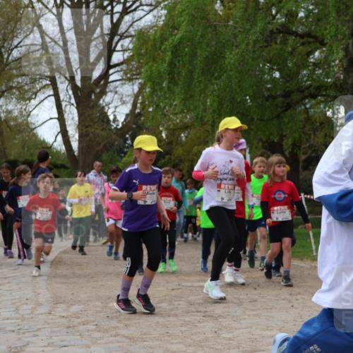 25.04.2026 - Das Zehntel Zöllner http://msf.ph/oto/9662764 25.04.2026 11:45:31 Laufen 129 meine-sportfotos.de