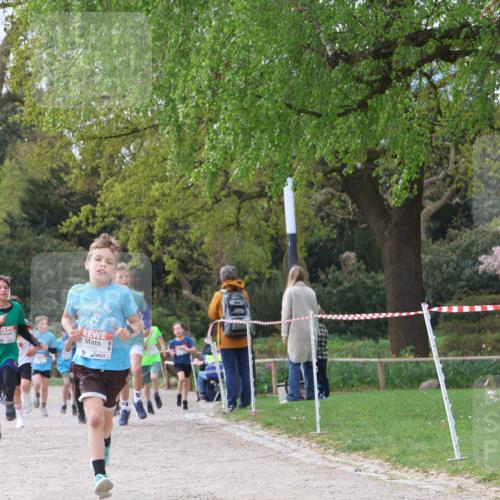 25.04.2026 - Das Zehntel Zöllner http://msf.ph/oto/9663150 25.04.2026 09:38:54 Laufen 10 meine-sportfotos.de