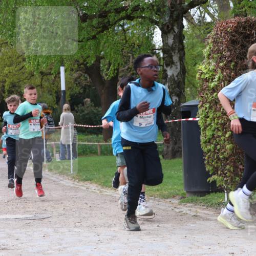 25.04.2026 - Das Zehntel Zöllner http://msf.ph/oto/9663363 25.04.2026 09:39:01 Laufen 80, 15 meine-sportfotos.de