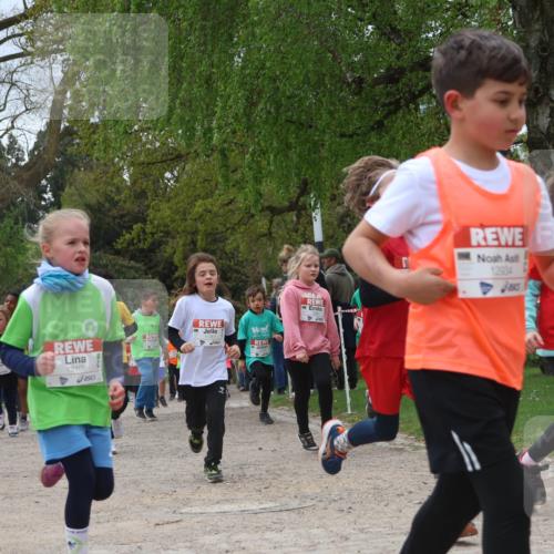 25.04.2026 - Das Zehntel Zöllner http://msf.ph/oto/9663514 25.04.2026 11:45:59 Laufen 11870, 12108, 7, 12904, 10929 meine-sportfotos.de