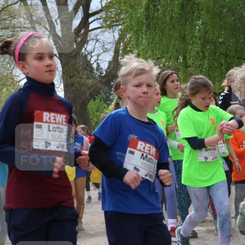 25.04.2026 - Das Zehntel Zöllner http://msf.ph/oto/9664633 25.04.2026 11:46:46 Laufen 1250, 10343, 10335, 250, 12658, 12915, 114 meine-sportfotos.de