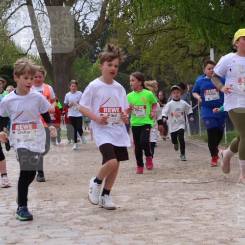 25.04.2026 - Das Zehntel Zöllner http://msf.ph/oto/9666307 25.04.2026 11:48:01 Laufen 10667, 11383, 11406, 12921, 10750 meine-sportfotos.de