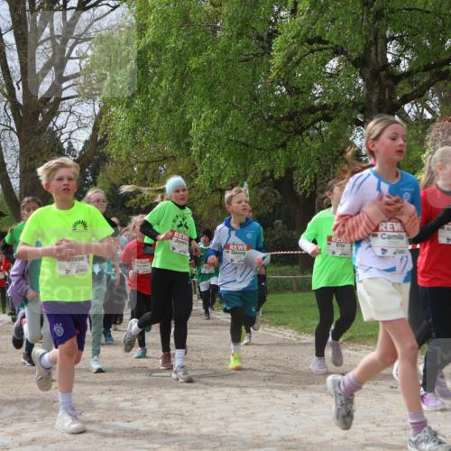 25.04.2026 - Das Zehntel Zöllner http://msf.ph/oto/9666801 25.04.2026 09:41:10 Laufen 7238 meine-sportfotos.de