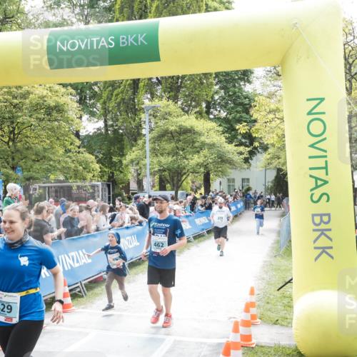 09.05.2026 - Störlauf H.Heesch http://msf.ph/oto/9669940 09.05.2026 13:44:32 Ziel 429, 462, 88 meine-sportfotos.de