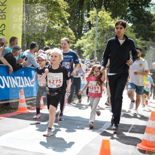 09.05.2026 - Störlauf H.Heesch http://msf.ph/oto/9670139 09.05.2026 13:02:24 Ziel 6275, 84, 6201, 1681 meine-sportfotos.de