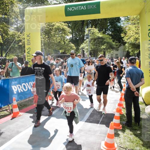 09.05.2026 - Störlauf H.Heesch http://msf.ph/oto/9670272 09.05.2026 13:03:29 Ziel 06, 175, 6003, 6097 meine-sportfotos.de