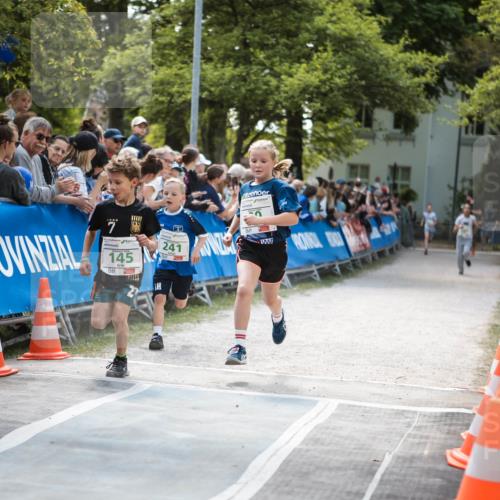09.05.2026 - Störlauf H.Heesch http://msf.ph/oto/9670520 09.05.2026 13:25:22 Ziel 145, 241 meine-sportfotos.de