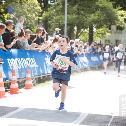 09.05.2026 - Störlauf H.Heesch http://msf.ph/oto/9670610 09.05.2026 13:26:55 Ziel 186 meine-sportfotos.de