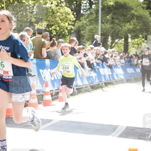 09.05.2026 - Störlauf H.Heesch http://msf.ph/oto/9670675 09.05.2026 13:27:44 Ziel 66, 248 meine-sportfotos.de