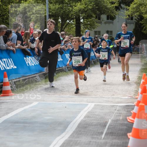 09.05.2026 - Störlauf H.Heesch http://msf.ph/oto/9670789 09.05.2026 13:29:19 Ziel 232, 246, 64, 65 meine-sportfotos.de