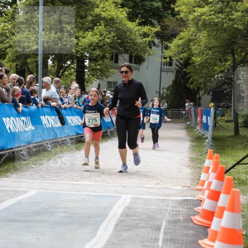 09.05.2026 - Störlauf H.Heesch http://msf.ph/oto/9671060 09.05.2026 13:33:55 Ziel 275, 258 meine-sportfotos.de