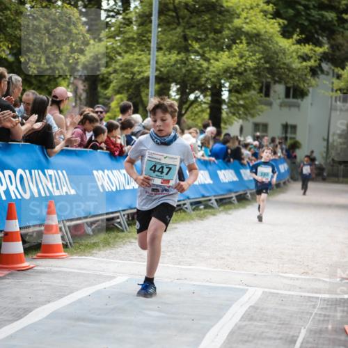 09.05.2026 - Störlauf H.Heesch http://msf.ph/oto/9671136 09.05.2026 13:41:20 Ziel 447, 380 meine-sportfotos.de