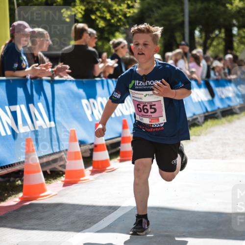 09.05.2026 - Störlauf H.Heesch http://msf.ph/oto/9671494 09.05.2026 13:49:42 Ziel 2026, 65 meine-sportfotos.de