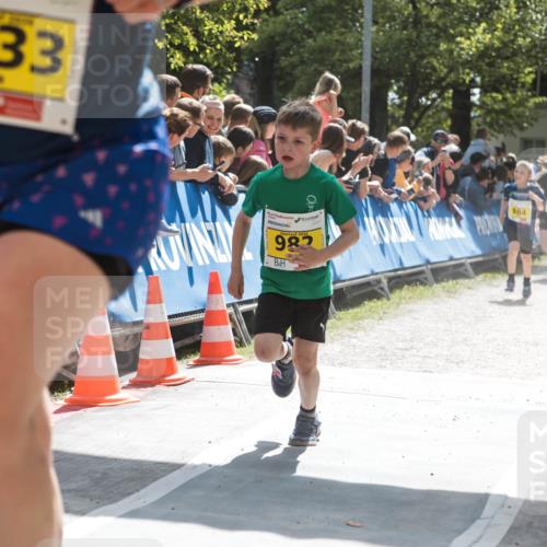 09.05.2026 - Störlauf H.Heesch http://msf.ph/oto/9673395 09.05.2026 14:12:22 Ziel 1033, 2026, 982, 984, 1019 meine-sportfotos.de