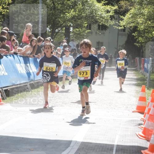 09.05.2026 - Störlauf H.Heesch http://msf.ph/oto/9673425 09.05.2026 14:12:36 Ziel 2026, 904, 840, 930, 973, 879, 804 meine-sportfotos.de