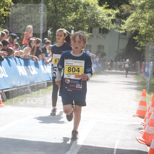 09.05.2026 - Störlauf H.Heesch http://msf.ph/oto/9673434 09.05.2026 14:12:39 Ziel 87, 2026, 804 meine-sportfotos.de