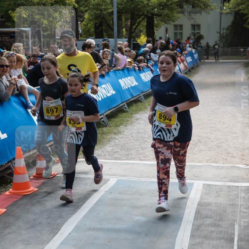 09.05.2026 - Störlauf H.Heesch http://msf.ph/oto/9673786 09.05.2026 14:17:44 Ziel 897, 894 meine-sportfotos.de