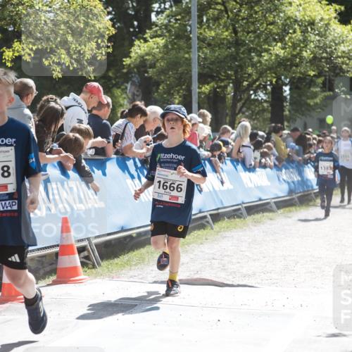 09.05.2026 - Störlauf H.Heesch http://msf.ph/oto/9674387 09.05.2026 14:46:35 Ziel 2026, 1338, 1666, 138 meine-sportfotos.de