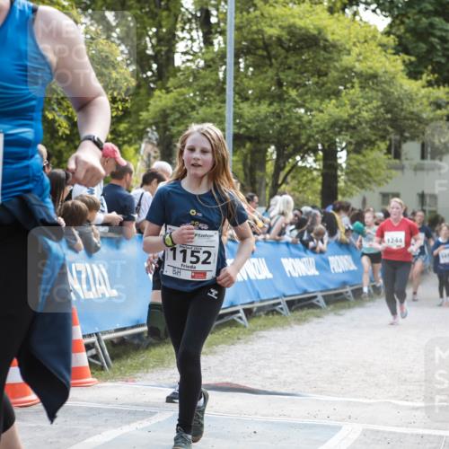 09.05.2026 - Störlauf H.Heesch http://msf.ph/oto/9674506 09.05.2026 14:48:24 Ziel 2026, 1150, 2026, 1152, 41244 meine-sportfotos.de