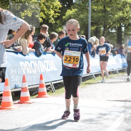 09.05.2026 - Störlauf H.Heesch http://msf.ph/oto/9675762 09.05.2026 15:33:25 Ziel 2026, 2421, 2026, 2210, 246 meine-sportfotos.de