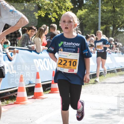 09.05.2026 - Störlauf H.Heesch http://msf.ph/oto/9675766 09.05.2026 15:33:26 Ziel 2026, 2421, 2026, 2210, 2246 meine-sportfotos.de