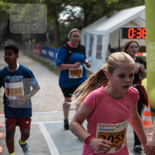 09.05.2026 - Störlauf H.Heesch http://msf.ph/oto/9676146 09.05.2026 15:36:07 Ziel 2288, 1933, 0, 38, 2026 meine-sportfotos.de